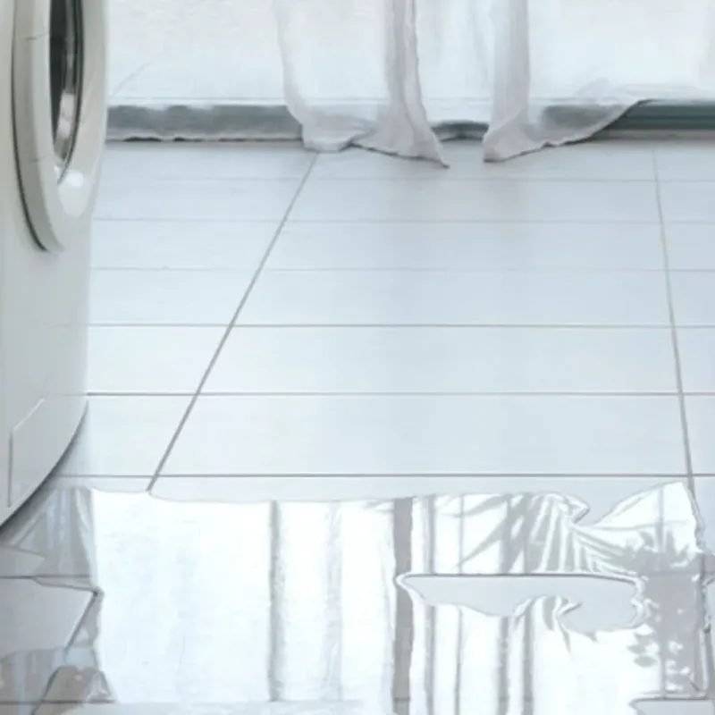 Appliance Leak Cleanup in Maynardville, TN