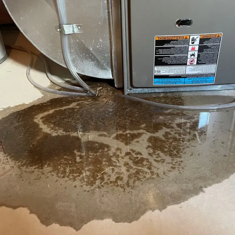 Pipe Burst and Leak Restoration in Maynardville, TN