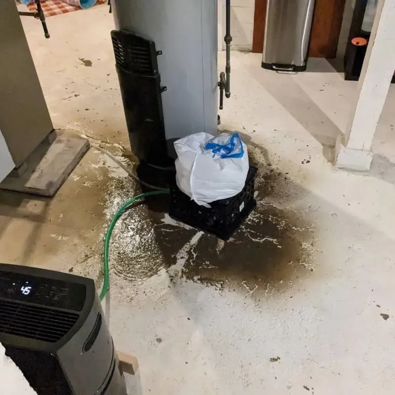 Sewage Backup Cleanup Service in Maynardville, TN
